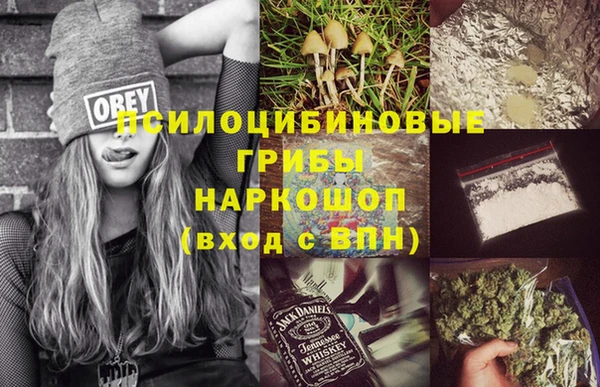 соль ск Алексеевка