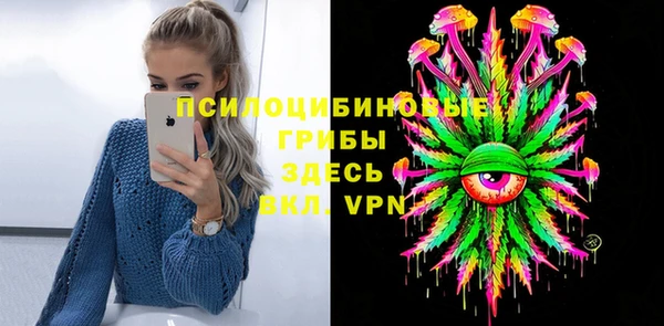 шишки Алексин