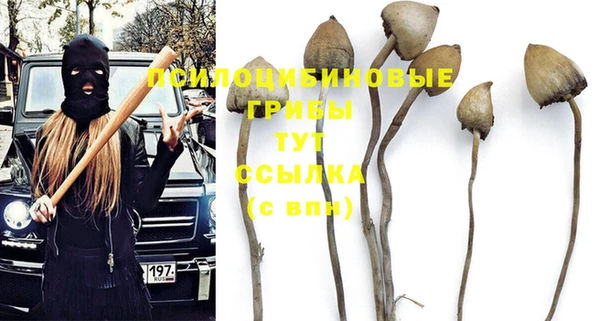 ешки Осташков