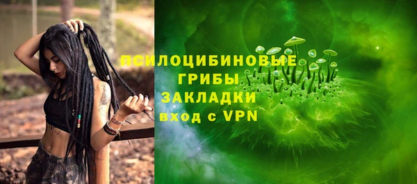 шишки Алексин