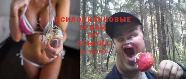 спиды Осинники