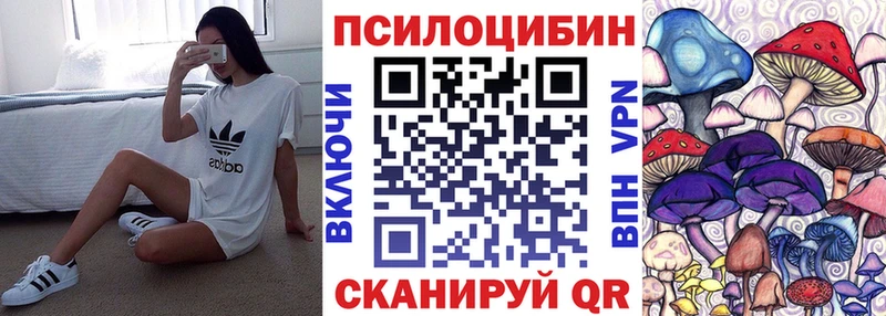 Псилоцибиновые грибы Psilocybe  где продают   Куртамыш 
